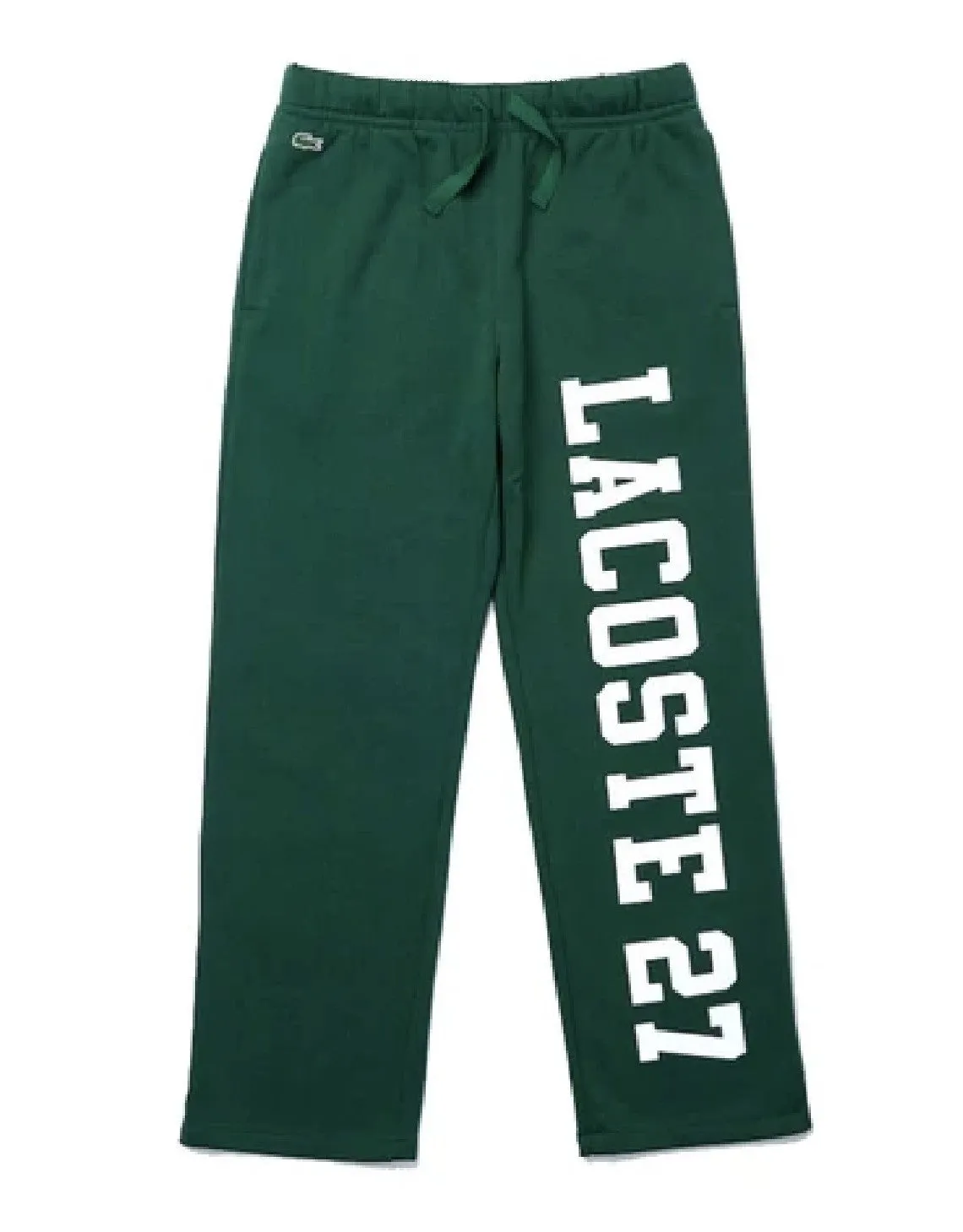 Men's 27 Print Tracksuit Pants Green Patagonia Clothing