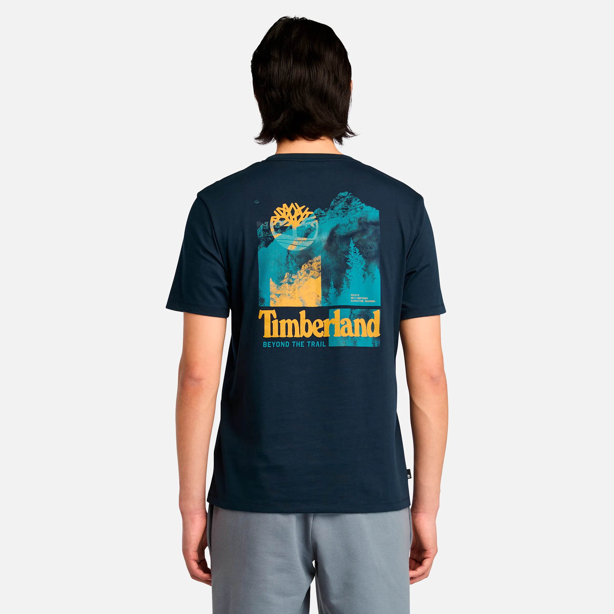 Men's Back Graphic Short Sleeve T-Shirt