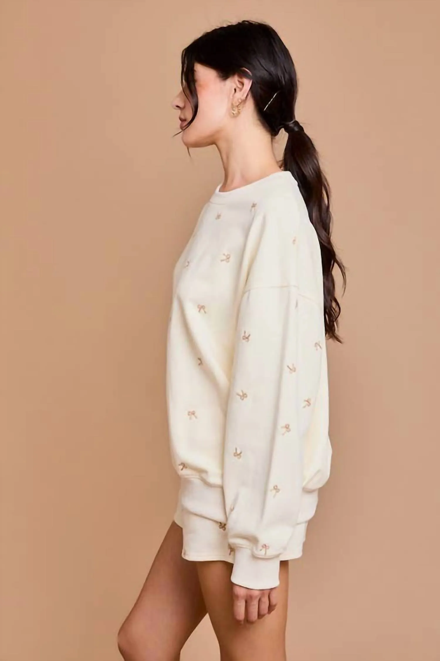 Round Neck Bow Embroidered Sweatshirt In Cream & Taupe